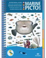 Marine PICTOLIFE - Western Tropical Atlantic