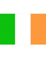 Ireland 12 x 9 Courtesy Flag Polyester
