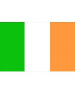 Ireland 12 x 9 Courtesy Flag Polyester