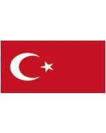 Turkey 12 x 9 Courtesy Flag Polyester