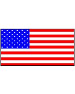 U.S.A. 12 X 9 Courtesy Flag Polyester
