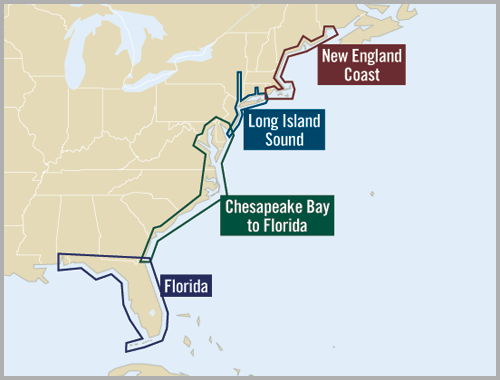 Long island sale to nj