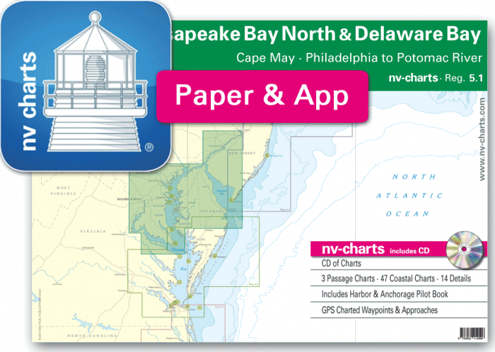 Cape Henlopen Tide Chart