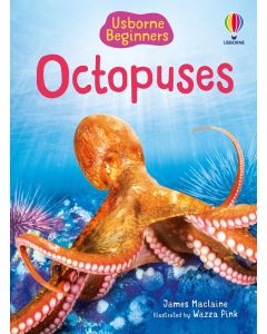 Beginners Octopuses