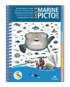 Marine PICTOLIFE - Western Tropical Atlantic