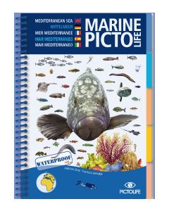 Marine PICTOLIFE - Mediterranean Sea