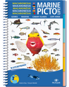 Marine PICTOLIFE - Macronesia