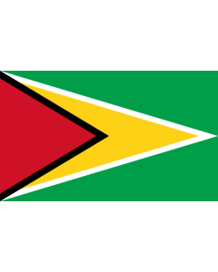 Guyana Courtesy Flag