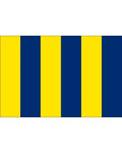 12 x 9 Code Flag G Polyester