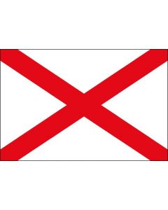 12 x 9 Code Flag V Polyester