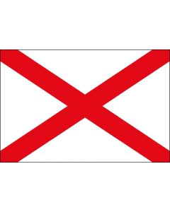 12 x 9 Code Flag V Polyester