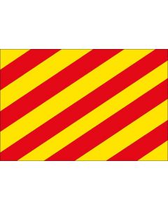 12 X 9 Code Flag Y Polyester