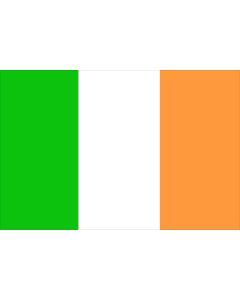 Ireland 12 x 9 Courtesy Flag Polyester