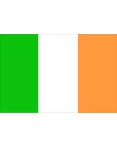 Ireland 12 x 9 Courtesy Flag Polyester