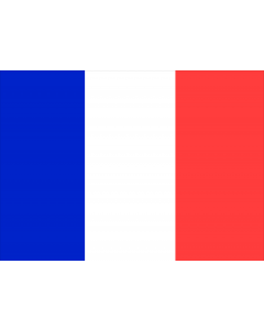 France 12 x 9 Courtesy Flag Polyester