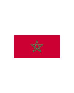 Morocco 12 x 9 Courtesy Flag Polyester