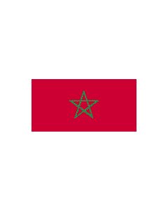 Morocco 12 x 9 Courtesy Flag Polyester