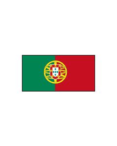 Portugal 12 x 9 Courtesy Flag Polyester