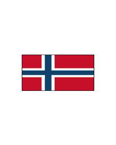 Norway 12 x 9 Courtesy Flag Polyester