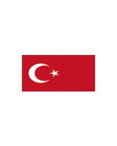 Turkey 12 X 9 Courtesy Flag Polyester