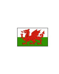 Welsh Dragon 12 x 9 Courtesy Flag Polyester