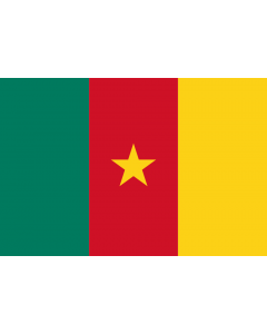 Cameroon Courtesy Flag