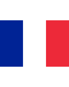 France Courtesy Flag