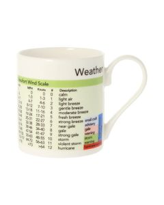 Weather Mug