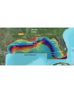 Garmin BlueChart g3 Vision - Brownsville-Key Largo (VUS515L)